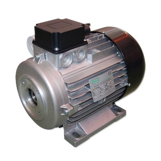 MOTOR 3 CV E/H 1-230V 1.450 RPM Ø.24 mm 100M